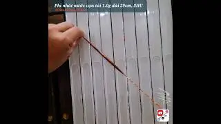 Phi nh&aacute;t nước cạn tải 1.0g, d&agrave;i 29cm, Sơn hiệu ứng..