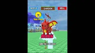 red dragon pet In Grow A Garden#growagarden #fyp #roblox #update #foryou