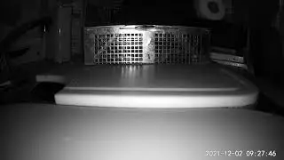 SHTF 2021 - TO CATCH A MOUSE PT. 2 - December 2, 2021