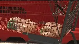 Pig organs likely what was found in Home Depot parking lot