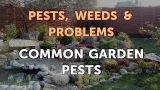 Common Garden Pests