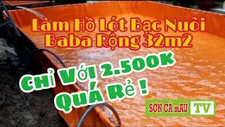 C&aacute;ch L&agrave;m Hồ L&oacute;t Bạc Nu&ocirc;i Baba Tr&ecirc;n Cạn Tại N&ocirc;ng Trại | SƠN C&Agrave; mAU