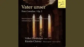 Vater unser, Op. 2: I. Vater unser, der Du bist im Himmel (Arr. for Voice and Organ)