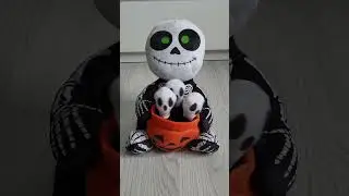 Animated Halloween Chorus