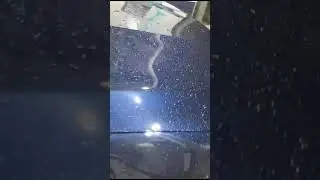Car wash of AMG with pure water no soap water: Glenthuntly Melbourne