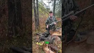 First Moose! Thrilling Hunt & Feeding Families! #shorts
