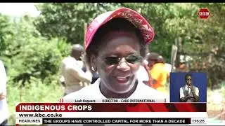 There are 200 African indigenous vegetables in Kenya