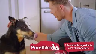 PureBites Gently Air Dried Jerky Dog Treats