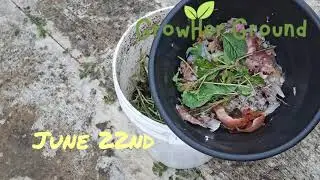 Turn Your Kitchen Waste into GARDEN GOLD: Easy Home Composting #compost #kitchenwaste