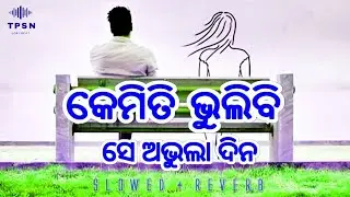 Kemiti Bhulibi Se Abhula Dina {Slowed+Reverb}  Lofi Song | Humane Sagar Odia Song | Odia Lofi Song