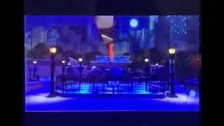 Skipper but it&rsquo;s flipped video 