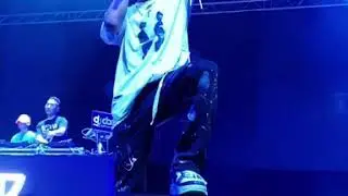 DPR LIVE- Martini blue