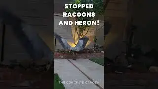 Heron Chronicles Part 9: Orbit Defense in Action (Slow Motion)