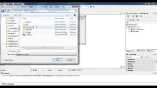 Delphi Program: Getting Started