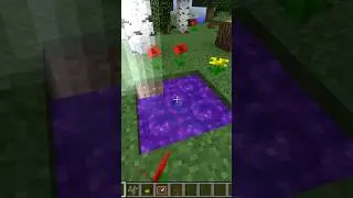 How to make the portal to the Twilight Forest in Minecraft 😳 🌳 #shorts