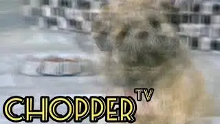 PINOY MEMES TRENDING 2019 (FUNNY VIDEOS COMPILATION)