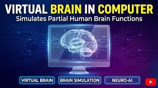 Virtual Brain in a Computer: Simulating Human Brain Functions with AI