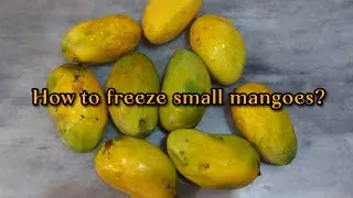 How to freeze small mangoes | best freezing method ever for mangoes