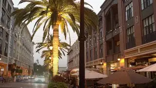 Fall 2020 Santana Row Fashion Focus