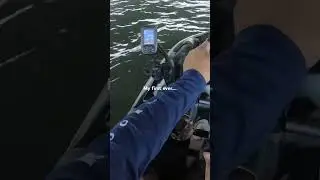 Live Action!