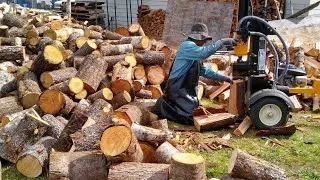 Cortando le&ntilde;a Con M&aacute;quina Y Almacenando Para El Invierno