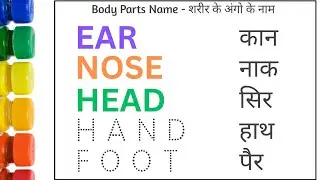 10 lines on My Body in english/My Body 10 lines /My Body essay in english