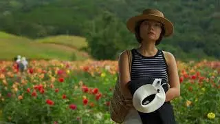 2024 09 Da Lat Flowers MAIN 250511a HDRQuality nvencC 80mbps