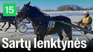 Sartuose vyksta tradicinės žirgų lenktynės