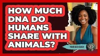 How Much DNA Do Humans Share With Animals? - Your GED Coach