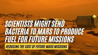 Scientists Might Send Bacteria to Mars to Produce Fuel For Future Missions