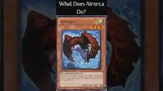 What Does Airorca Do?
