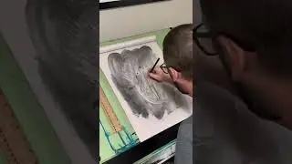 Bald Eagle Sketch | Charcoal on news print