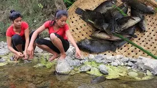 Survival skills in forest: Cooking fish Fries with Peppers sauce and Eating delicious in Jungle