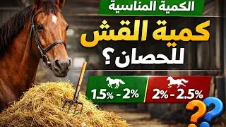 كم يحتاج الحصان من القش في اليوم؟