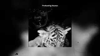 [FREE] Криминальный бит x Macan x Jamik type beat 