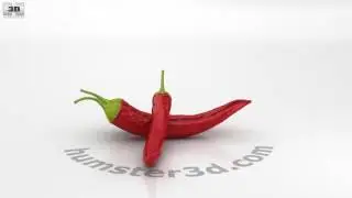 Chili Pepper 3D model by 3DModels.org