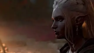 What Happens If You Kill Both Targets Before Being Asked? Slayer Dialogue Scene - Baldur's Gate 3