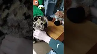 Make foxy laugh#short#funny#jokes#comedy.🤣🤣🤣