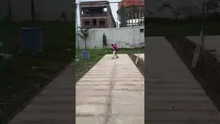 Perfect Drive Shot 😍🏏 | Timing + Class = Perfection#rohitman#hardikpandya#viratkohli#ind vs aus#roko