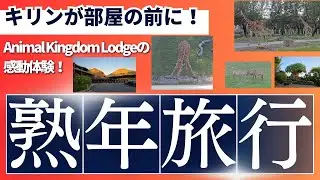 ウォルト・ディズニー・ワールド｜アニマルキングダムロッジのサバンナビュー宿泊体験！部屋から見えるキリンと感動の大自然