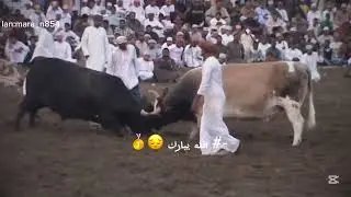 26 فبراير، 2025