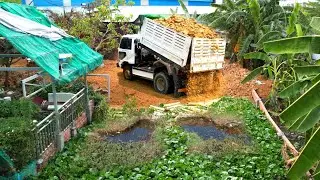 Full Video Succefully Complete 100% by Expert Bulldozer / Team work Dump trucks dumping Stone fill
