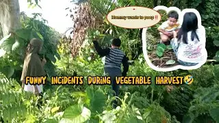 Unexpected Events In The Garden🤣