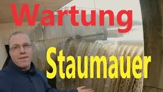 1000 tote🐠 Fische!🐟Wartungsarbeiten am Schiedersee Ist die Umflutung eine Steuergeldverschwendung?