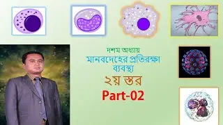 Innate Immunity । সহজাত অনাক্রম্যতা । Second Line of Defence। দ্বিতীয় প্রতিরক্ষা স্তর। Part 02