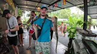 🇹🇭 🐍 The KING COBRA snake show in Ao Nang Krabi Thailand 🐍 🇹🇭