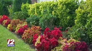 Traprock Landscaping