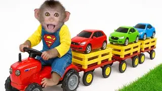 Baby Monkey Pulls Toy Cars on a Tractor Across the Grass! | Monkey Momo