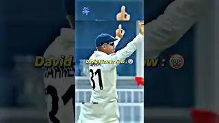 David Warner before sandpaper incident 💀🥵