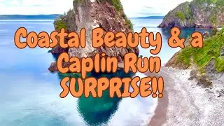 Stunning Coastal trail at Chance Cove Nfld & a Capelin Run You won&rsquo;t believe!